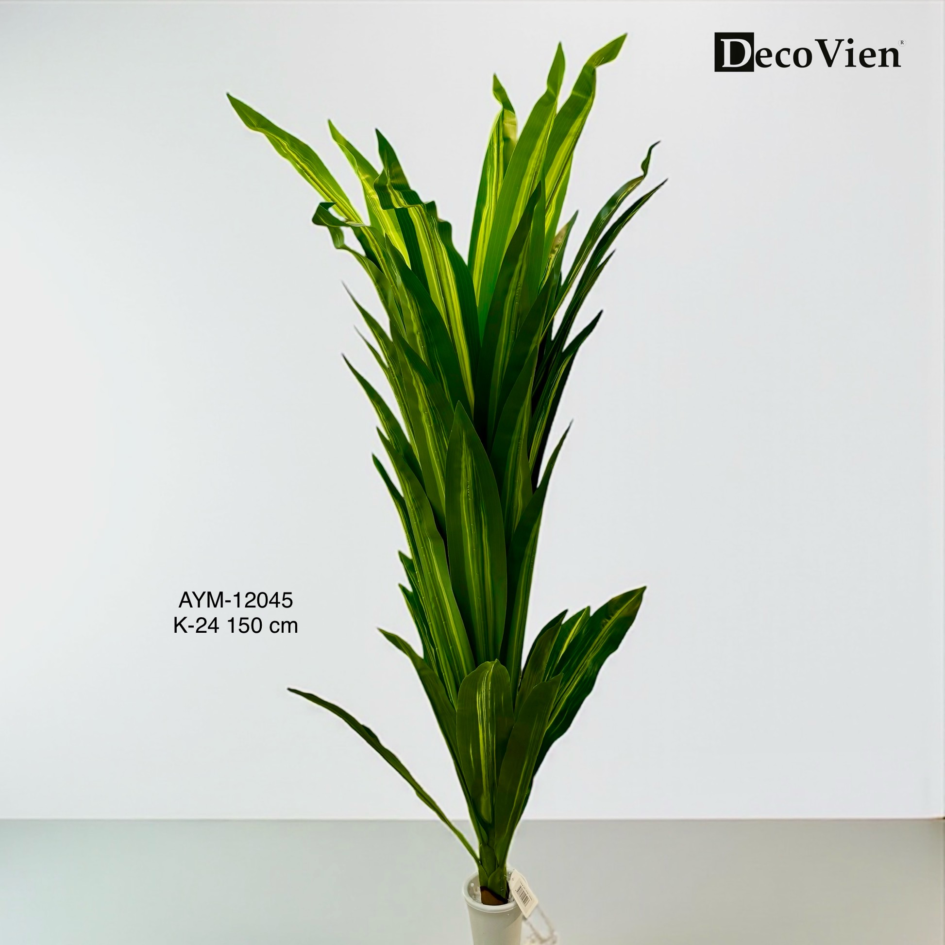 AYM-12045