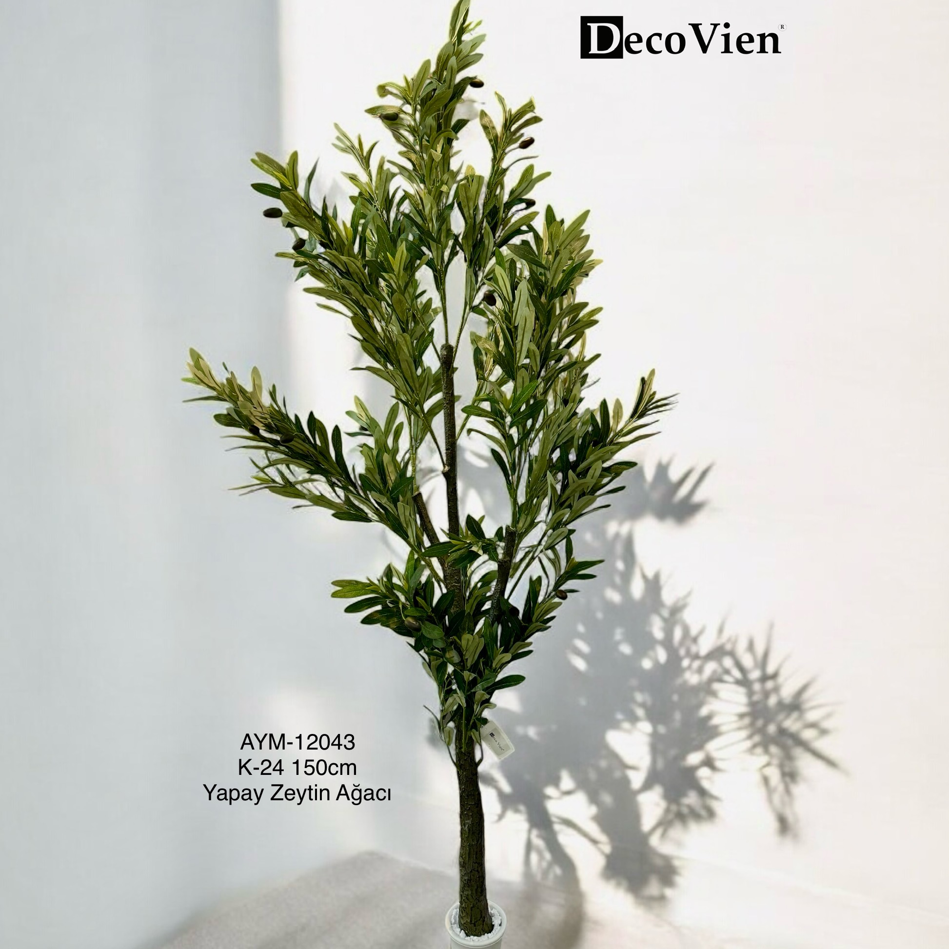 AYM-12043
