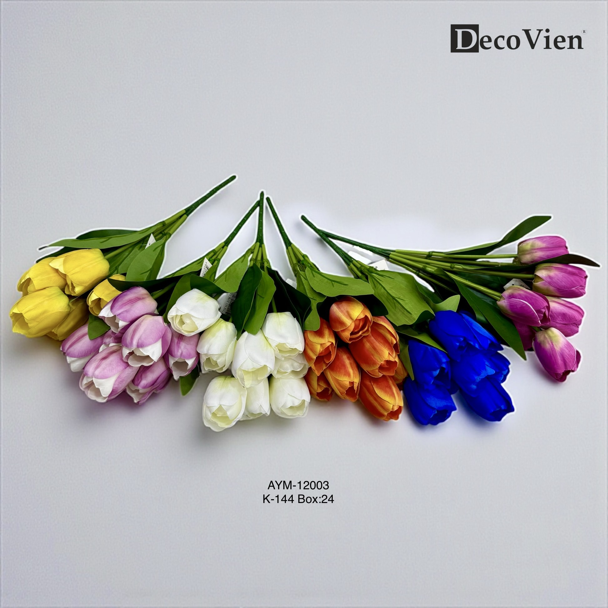AYM-12003