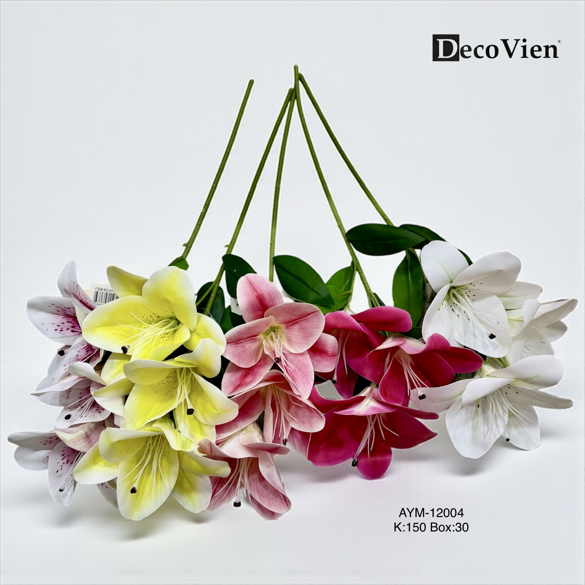 AYM-12004