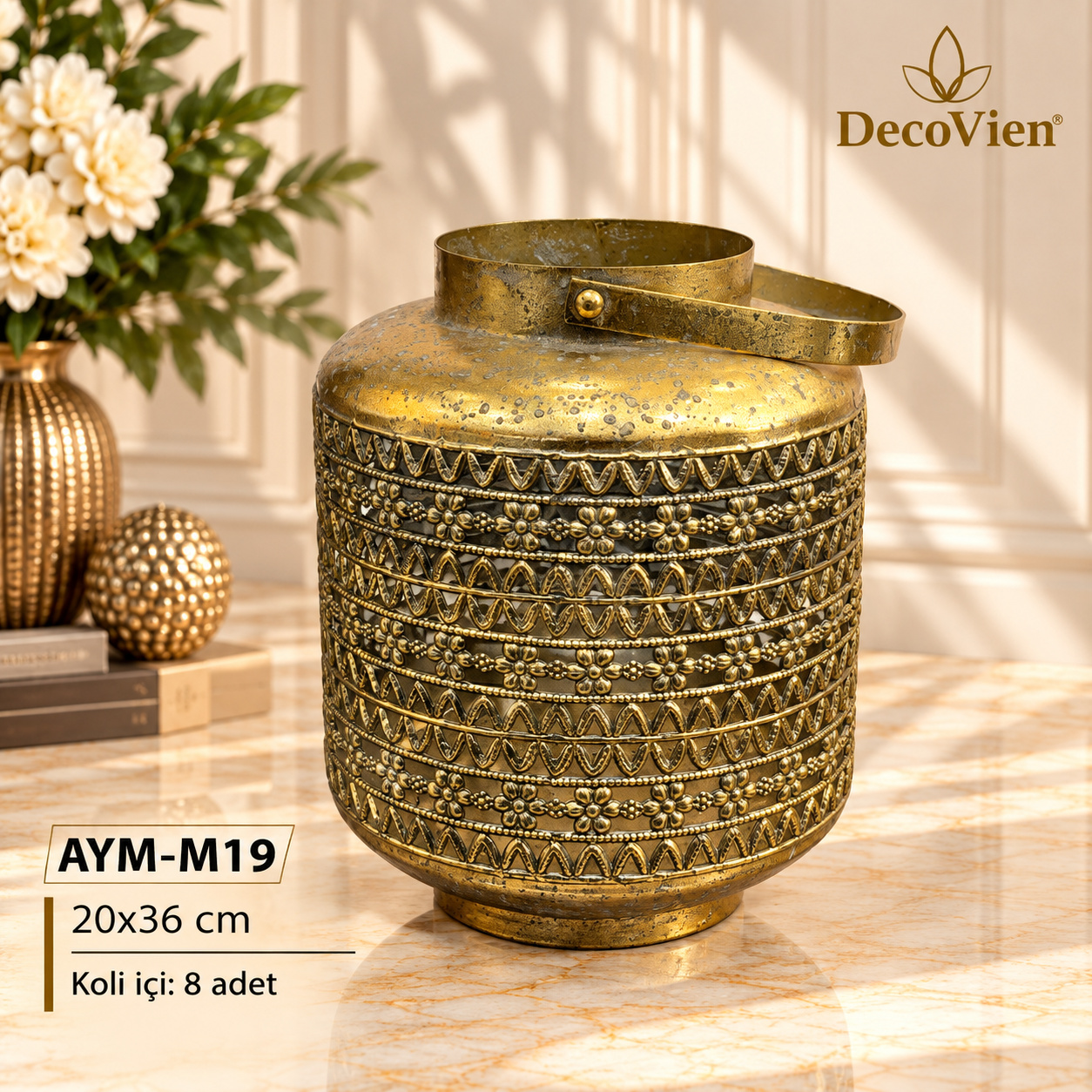 AYM-M19