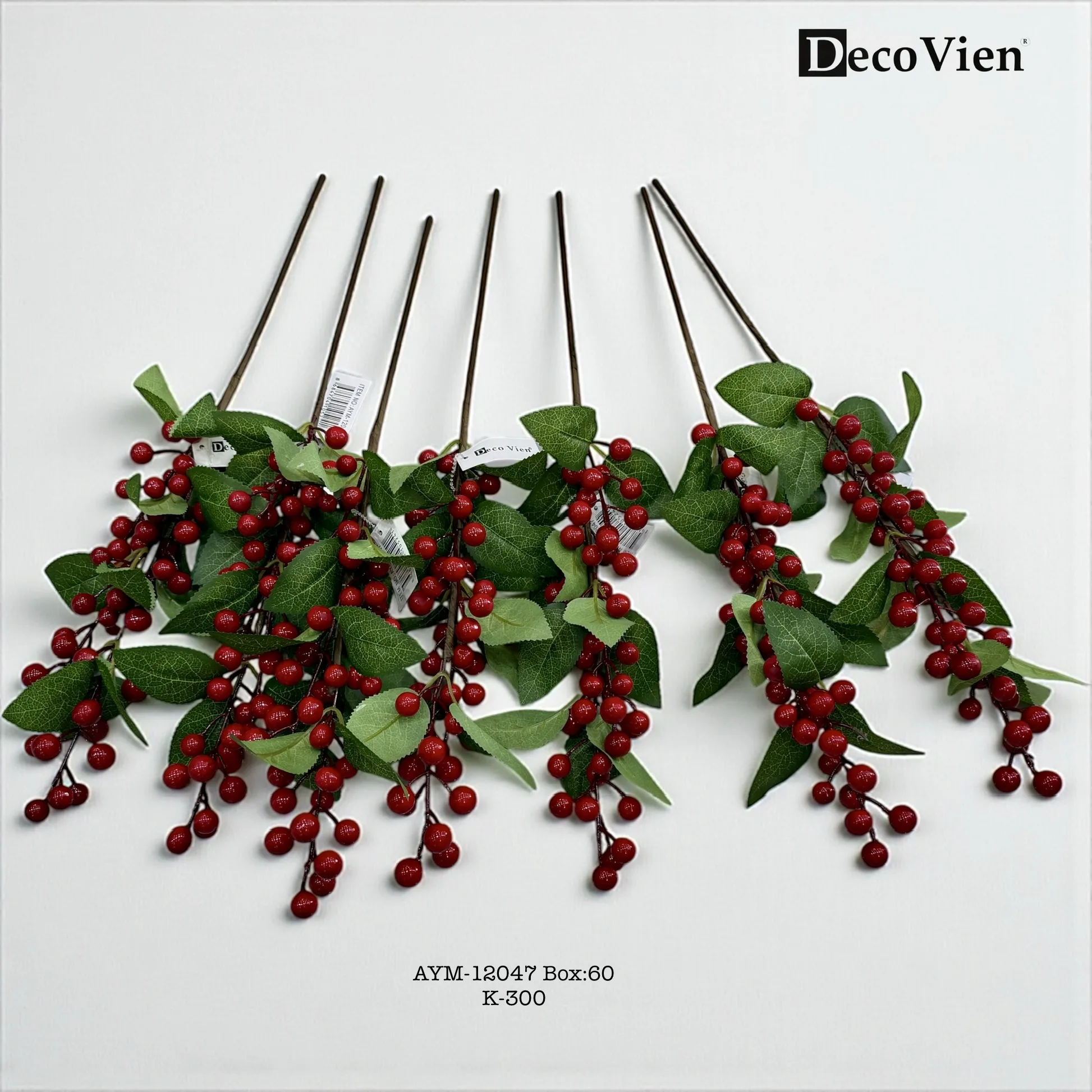 AYM-12047